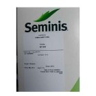 بذر ذرت شیرین 1263 سمینیس انتخابی در اهواز در گروه خرید و فروش بذر ذرت در یکمیوه