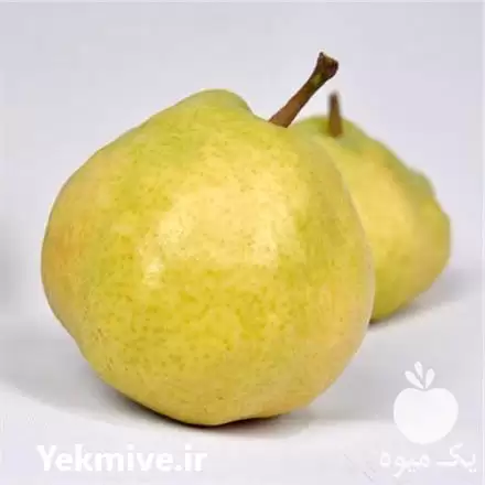 قیمت خرید نهال گلابی دوه چی در ارومیه در گروه خرید و فروش نهال گلابی در یکمیوه -عکس1