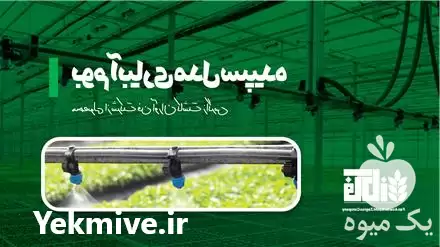 قیمت خرید بوم آبیاری در کرمانشاه در گروه خرید و فروش اتصالات و تجهیزات آبیاری در یکمیوه -عکس1
