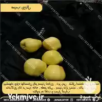 پیش فروش نهال سیب رویال در تهران در گروه خرید و فروش نهال میوه در یکمیوه