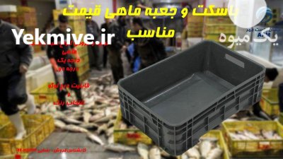 باسکت ماهی میگو جعبه ماهی در بندردیلم در گروه خرید و فروش انواع سبد در یکمیوه -عکس1