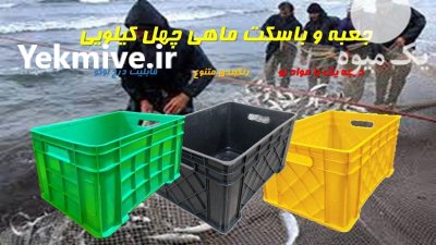 باسکت ماهی میگو جعبه ماهی در بندردیلم در گروه خرید و فروش انواع سبد در یکمیوه -عکس2