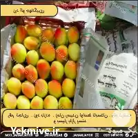 خرید نهال زردالو جهانگیری در تهران در گروه خرید و فروش نهال در یکمیوه