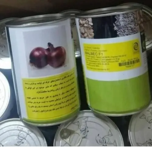 فروش بذر پیاز قرمز مالبک در گروه خرید و فروش بذر پیاز در یکمیوه -عکس1