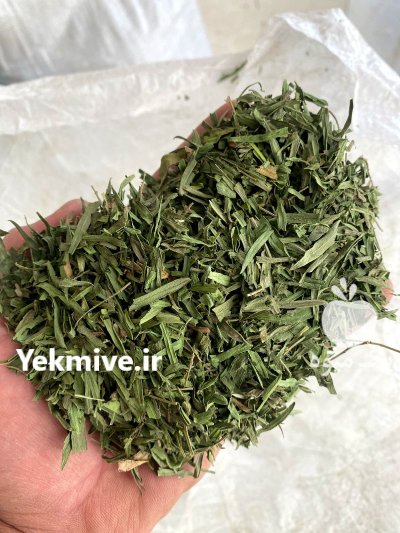 فروش ترخون در مشهد در خراسان در خراسان رضوی در گروه خرید و فروش انواع سبزی ها در یکمیوه -عکس1