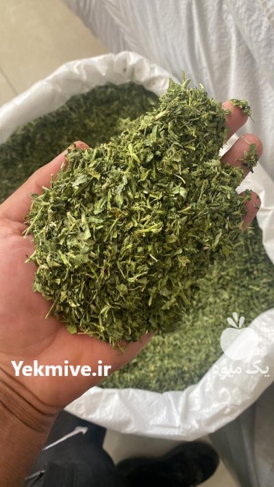 فروش ترخون در مشهد در خراسان در خراسان رضوی در گروه خرید و فروش انواع سبزی ها در یکمیوه -عکس2