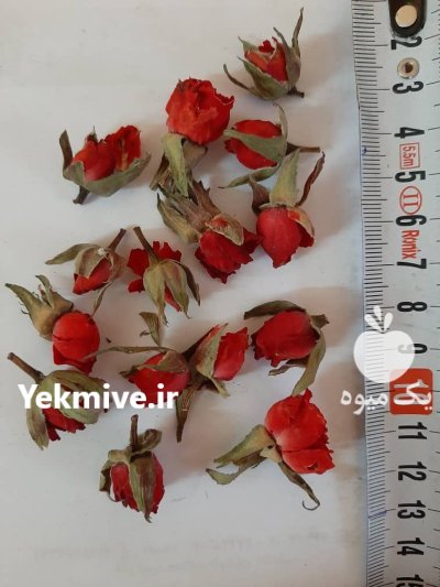 زعفران فروش زعفران در مشهد در گروه خرید و فروش زعفران در یکمیوه -عکس2