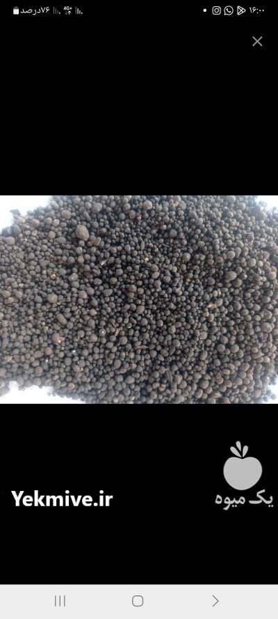کود کامل گرانول در گروه خرید و فروش کود کامل در یکمیوه -عکس1