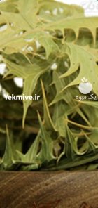 فروش زول خار در اصفهان در گروه خرید و فروش گیاهان دارویی در یکمیوه