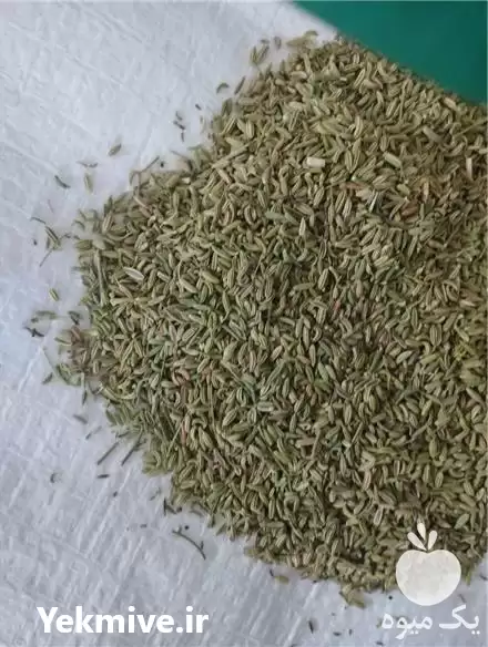 فروش رازیانه در همدان در گروه خرید و فروش گیاهان دارویی در یکمیوه -عکس1