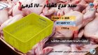 سبد 1700 گرمی مرغ گرم در خرم آباد در گروه خرید و فروش انواع سبد در یکمیوه