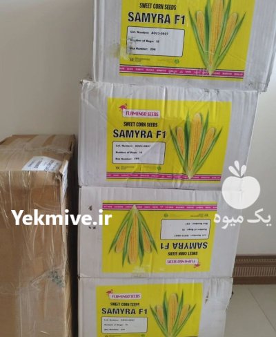 فروش بذر ذرت سمیرا در پارس آباد در گروه خرید و فروش بذر ذرت در یکمیوه -عکس1