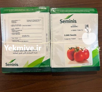 فروش بذر گوجه باسیمو در کازرون در گروه خرید و فروش بذر گوجه در یکمیوه -عکس1