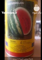 فروش بذر هندوانه یونیژن سیاه در تهران در تهران در گروه بذر کشاورزی در یکمیوه فروش بذر هندوانه یونیژن سیاه در تهران در گروه خرید و فروش بذر هندوانه در یکمیوه