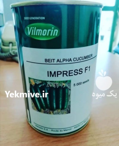 فروش بذر خیار ایمپرس ویلمورین در گرگان در گروه خرید و فروش بذر خیار در یکمیوه -عکس1
