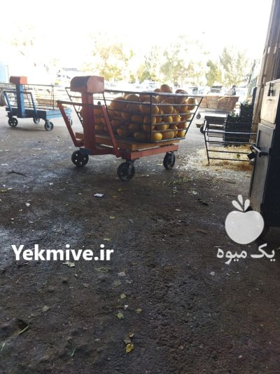 باربارکن برای میدان بار کرج در گروه بار بارکن محصولات کشاورزی در یکمیوه -عکس1