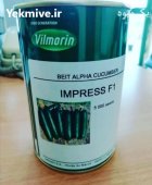 فروش بذر خیار ایمپرس ویلمورین در گرگان در گروه خرید و فروش بذر خیار در یکمیوه