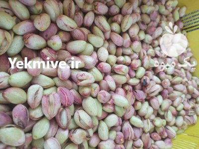 فروش انواع پسته تازه در دامغان در گروه خرید و فروش پسته در یکمیوه -عکس1