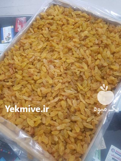 فروش کشمش سبز و طلایی کاشمر در گروه خرید و فروش آجیل در یکمیوه -عکس1