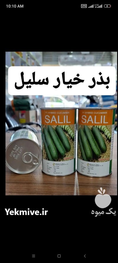 بذر خیار سلیل در اهواز در گروه خرید و فروش بذر خیار در یکمیوه -عکس1