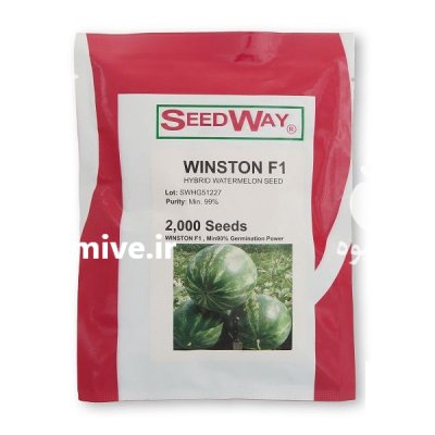 بذر هندوانه وینستون سید و ی کیفیت در گروه خرید و فروش بذر هندوانه در یکمیوه -عکس1