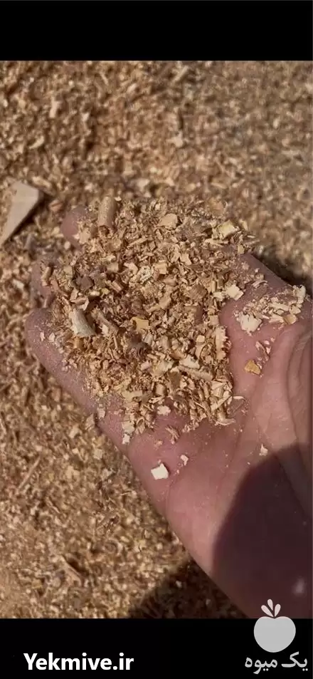 قیمت خرید پوشال خاک اره جهت در تهران در گروه خرید و فروش خاک اره در یکمیوه -عکس1