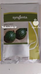 قیمت بذر هندوانه تاپ گان سینجنتا در اهواز در گروه خرید و فروش بذر هندوانه در یکمیوه