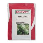 بذر هندوانه وینستون سید و ی کیفیت در گروه خرید و فروش بذر هندوانه در یکمیوه