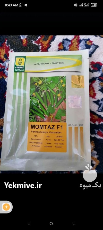 فروش بذر خیار رایدر در نهاوند در گروه خرید و فروش بذر خیار در یکمیوه -عکس1