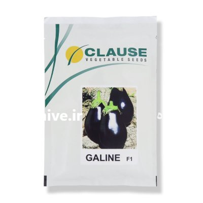 قیمت فروش بذر بادمجان گالین در شهرکرد در گروه خرید و فروش بذر بادمجان در یکمیوه -عکس2