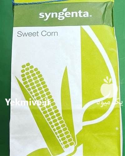 قیمت بذر ذرت اکسن چوئیت در ایلام در گروه خرید و فروش بذر ذرت در یکمیوه -عکس1