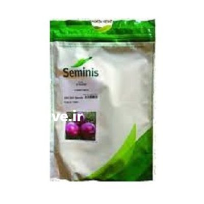 بذر پیاز قرمز 7030 در گروه خرید و فروش بذر پیاز در یکمیوه -عکس1