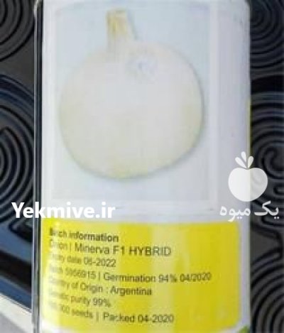 فروش بذر پیاز مینروا _ قیمت در گروه خرید و فروش بذر پیاز در یکمیوه -عکس1