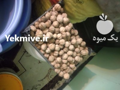 گردو خشک تازه امسال پوست کاغذی در شهرکرد در گروه خرید و فروش گردو در یکمیوه -عکس2