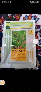 فروش بذر خیار رایدر در نهاوند در گروه خرید و فروش بذر خیار در یکمیوه