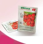 قیمت بذر تربچه ویکیما در بجنورد در گروه خرید و فروش بذر سبزی در یکمیوه