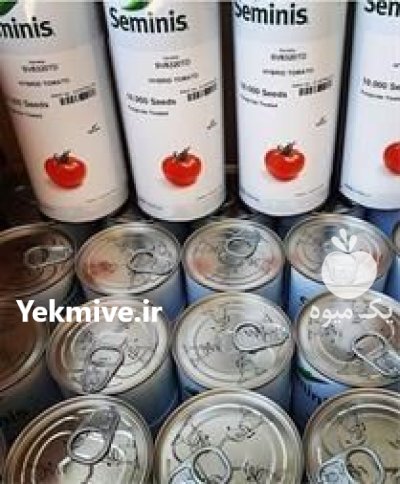 فروش بذر گوجه فرنگی 8320 در اصفهان در گروه خرید و فروش بذر گوجه در یکمیوه -عکس2