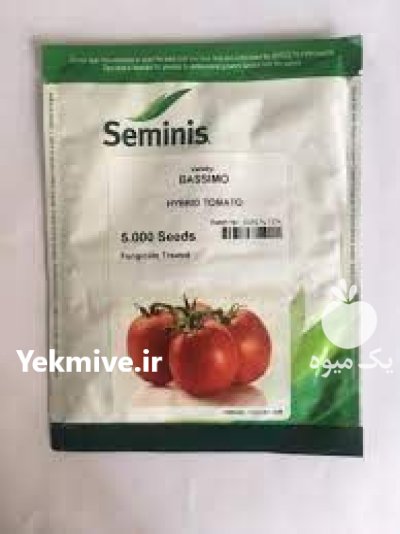 قیمت فروش بذر گوجه فرنگی باسیمو در گروه خرید و فروش بذر گوجه در یکمیوه -عکس1