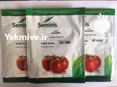 قیمت فروش بذر گوجه فرنگی باسیمو در گروه خرید و فروش بذر گوجه در یکمیوه -عکس2