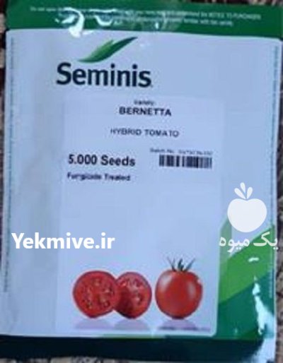 فروش بذر گوجه فرنگی برنتا در اراک در گروه خرید و فروش بذر گوجه در یکمیوه -عکس1