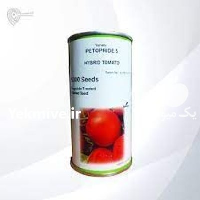 فروش بذر گوجه پتو پراید در سنندج در گروه خرید و فروش بذر گوجه در یکمیوه -عکس2