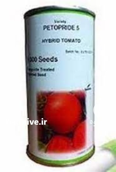 قیمت بذر گوجه پتو پراید 6 در اصفهان در گروه خرید و فروش بذر گوجه در یکمیوه -عکس2