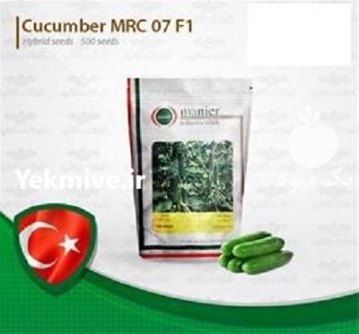 قیمت بذر خیار MC 18 در کرج در گروه خرید و فروش بذر خیار در یکمیوه -عکس1