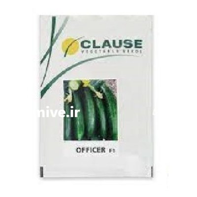 قیمت بذر خیار آفیسرکلوز در شهرکرد در گروه خرید و فروش بذر خیار در یکمیوه -عکس1