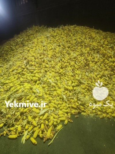 فروش عمده چوب بلال ذرت بذری در پارس آباد در گروه خرید و فروش ذرت در یکمیوه -عکس1