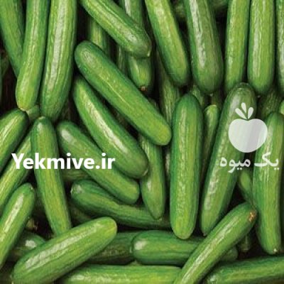 فروشند بذر خیار امیران در یاسوج در گروه خرید و فروش بذر خیار در یکمیوه -عکس2