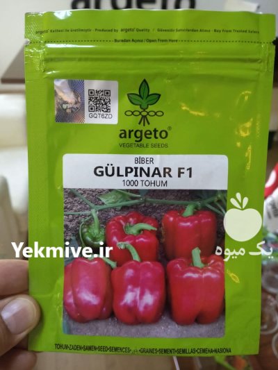 فروش انواع بذر گلخانه ای در اصفهان در گروه خرید و فروش انواع بذر در یکمیوه -عکس2