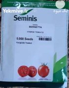 فروش بذر گوجه فرنگی برنتا در اراک در گروه خرید و فروش بذر گوجه در یکمیوه