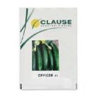 قیمت بذر خیار آفیسرکلوز در شهرکرد در گروه خرید و فروش بذر خیار در یکمیوه