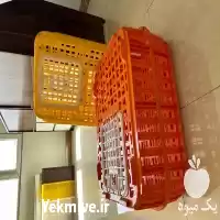 فروش قفس حمل مرغ زنده در ابهر در گروه تجهیزات مرغداری در یکمیوه